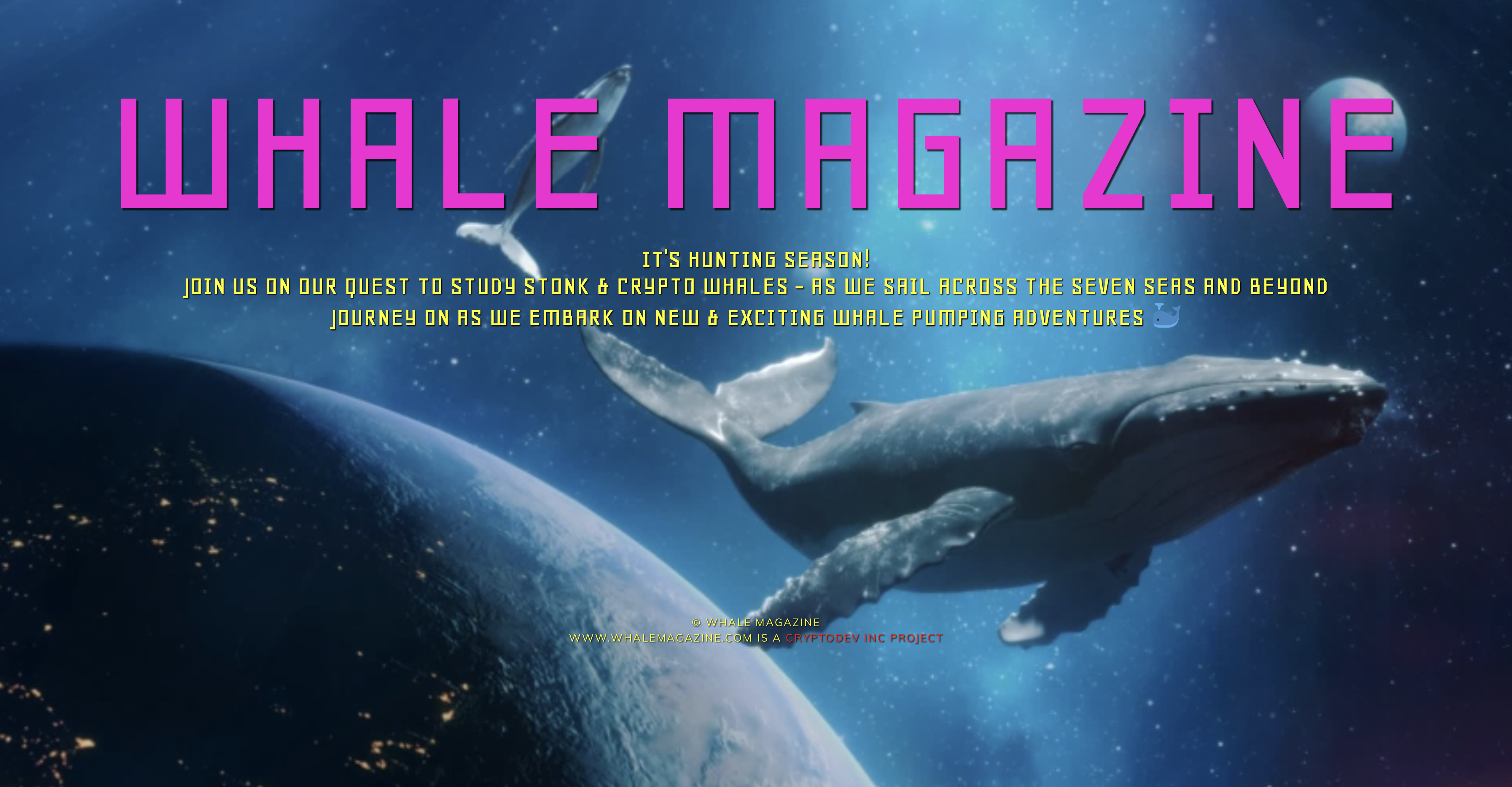 whale magazine