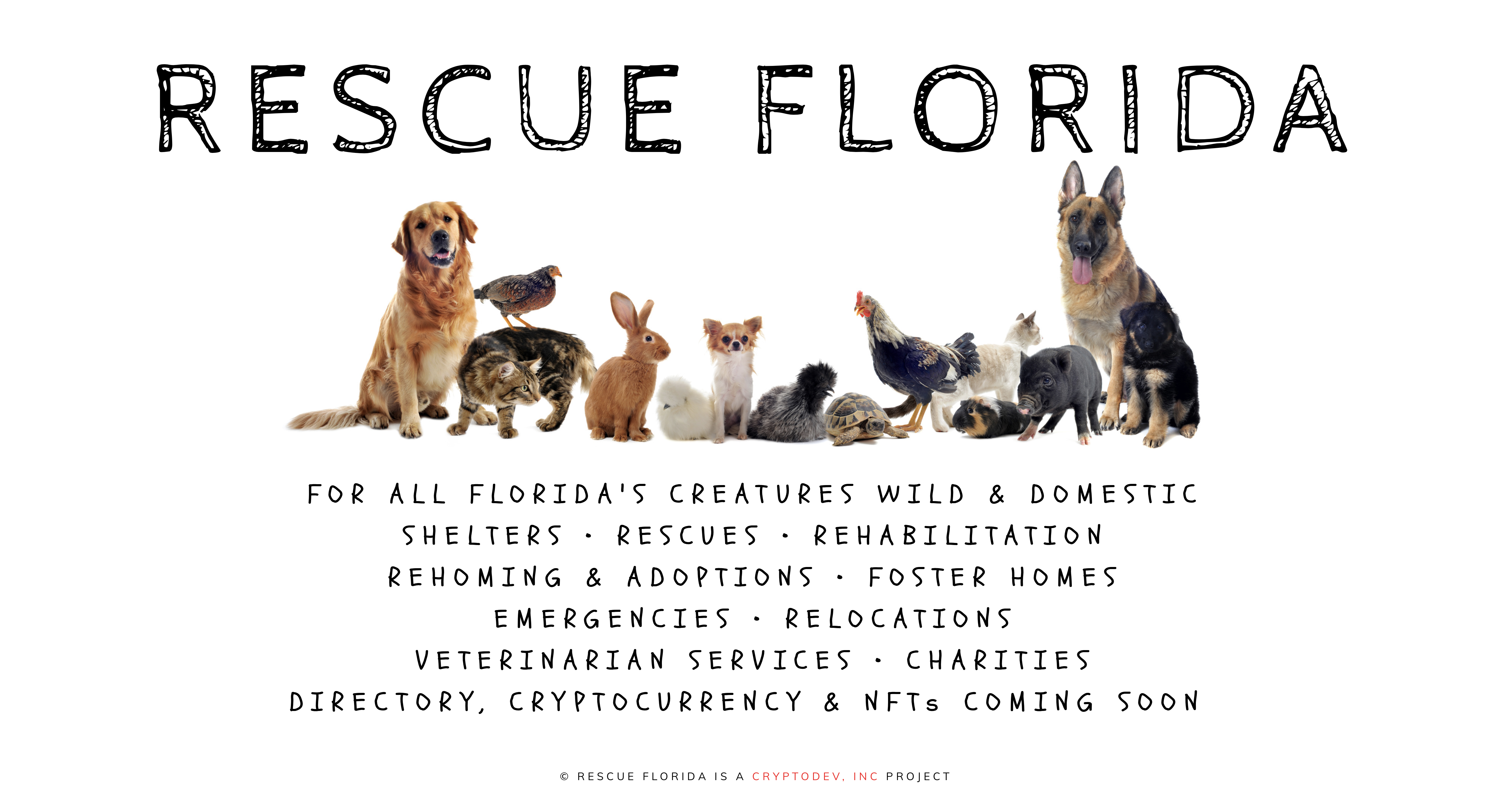 Rescue Florida